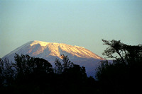 Kilimanjaro at Dawn