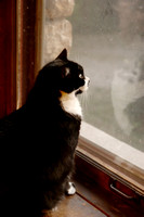 Charlie Surveys His Empire