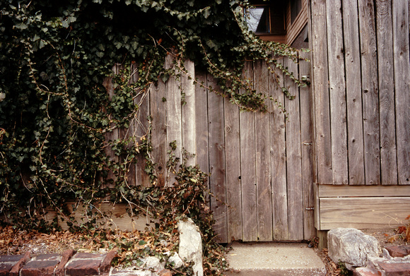 Gate and Ivy