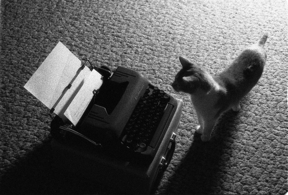 Basil Inspects the Manuscript