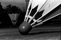 Shuttlecocks