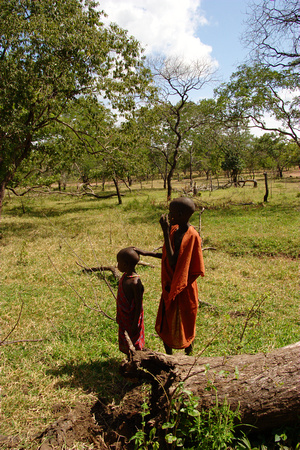 Maasai Boys