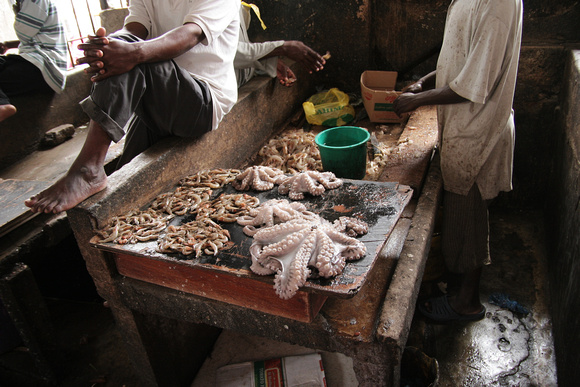 Fish Market - Stone Town, Zanzibar
